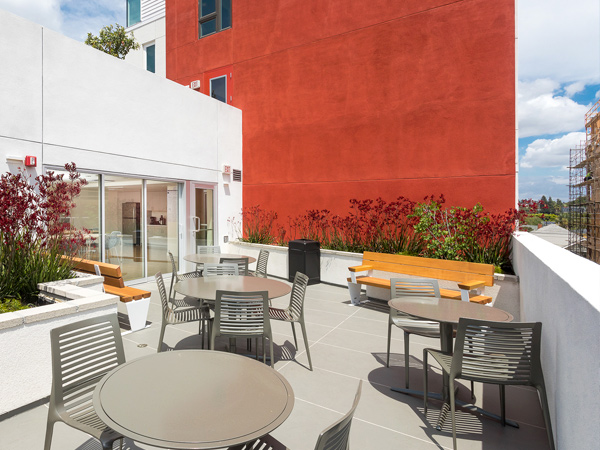 Photograph of a rooftop terrace with outdoor furniture and planters with blooming flowers.